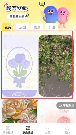麦麦壁纸