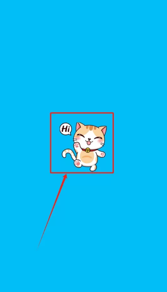胖猫健康