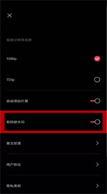 剪映2025