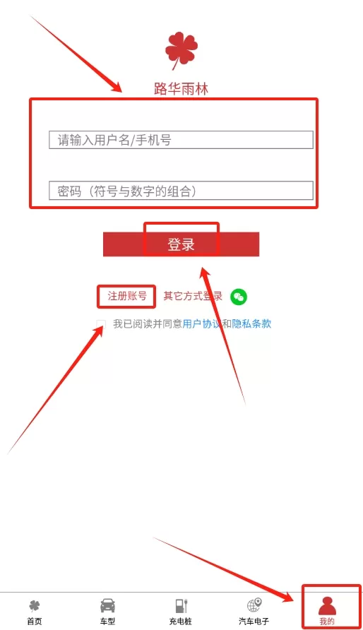 路华雨林