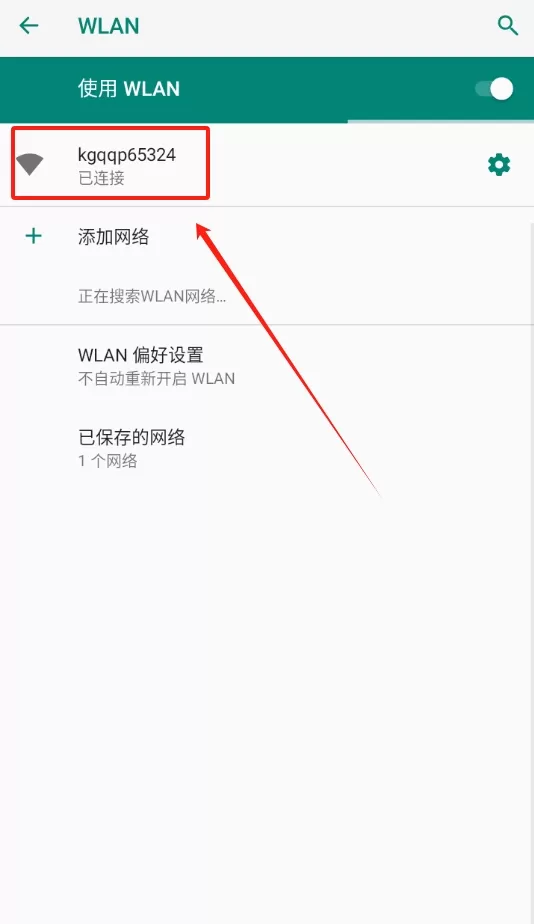 胖猫健康