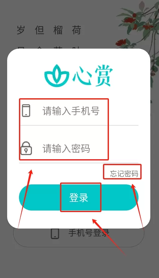 国科大心赏