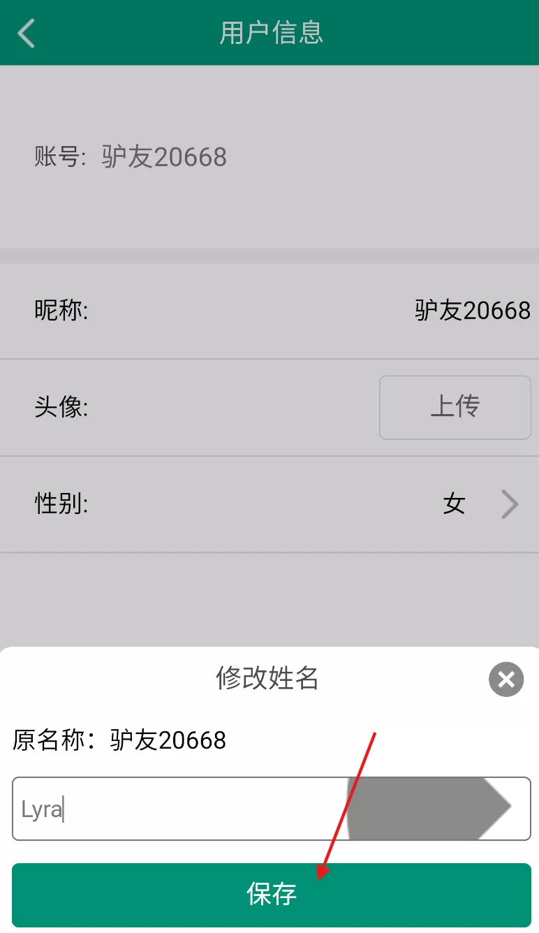 海鸥自由行