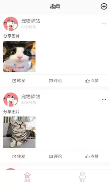 宠物驿站