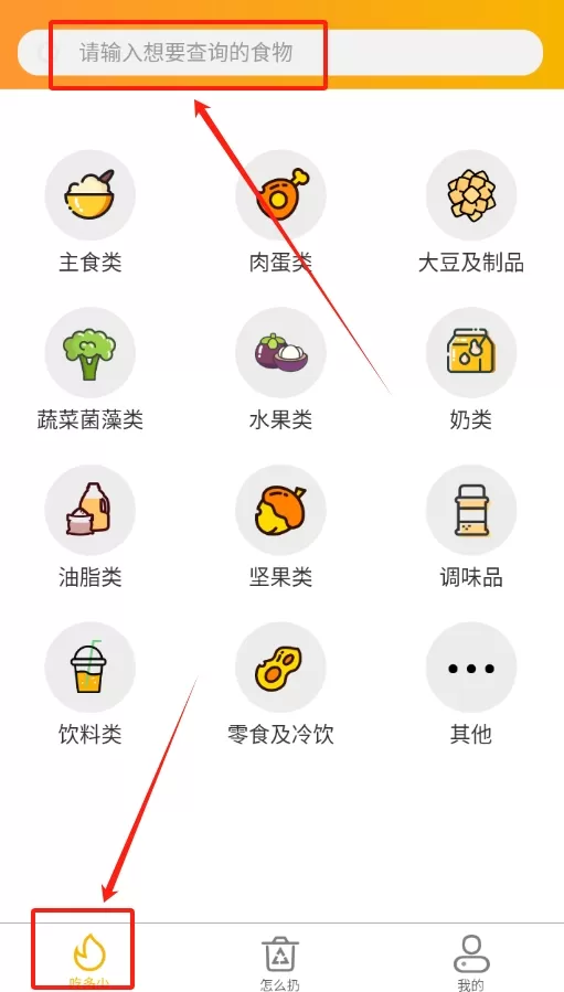 白熊健康