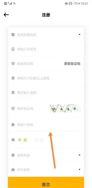 tf家族