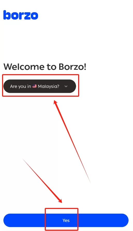 borzo
