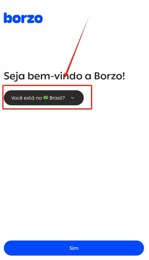 borzo
