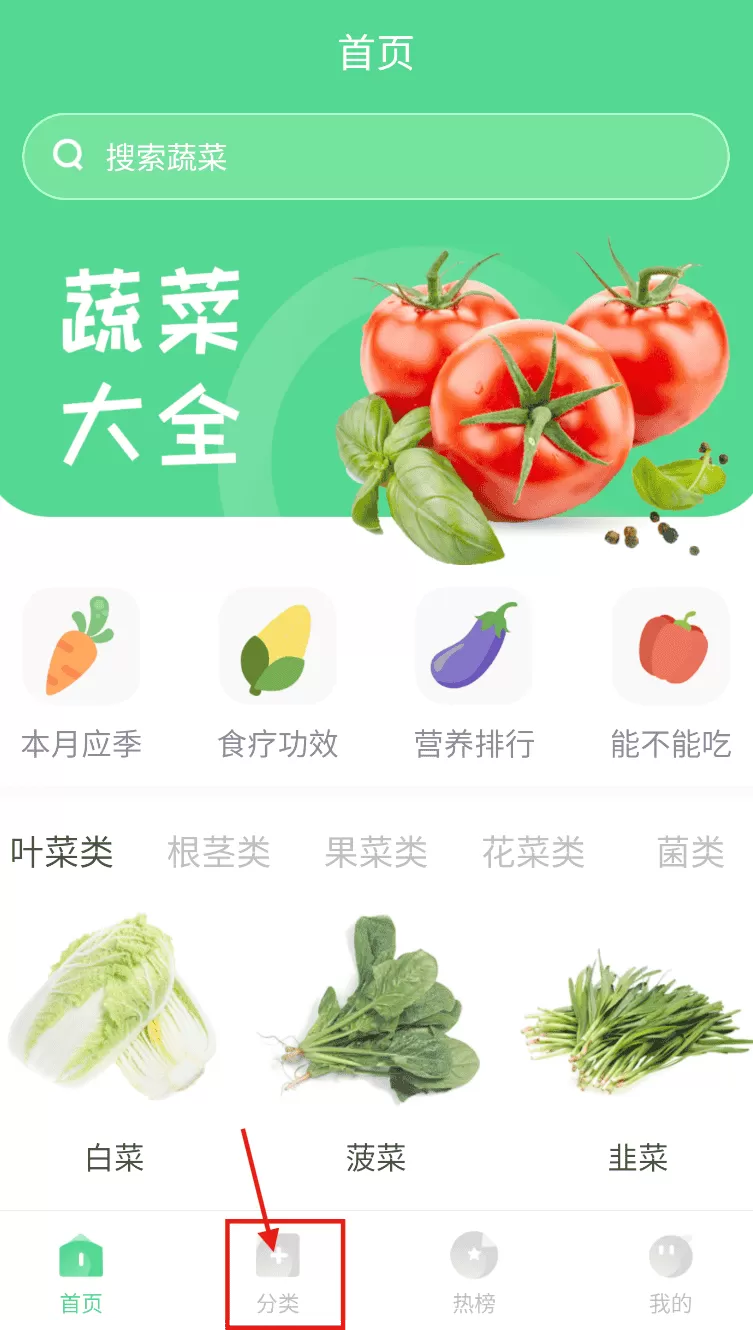 有机蔬菜