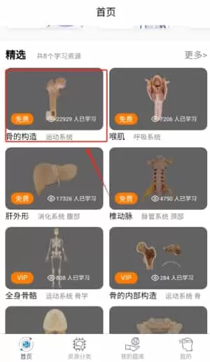云解剖
