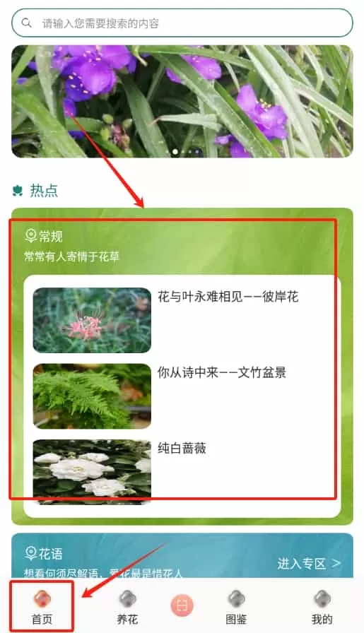 幸福花园君