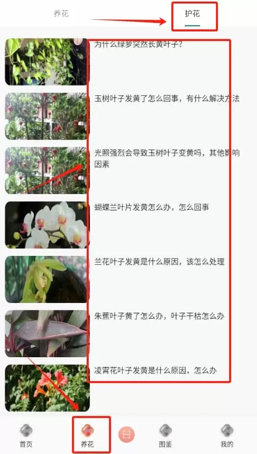 幸福花园君