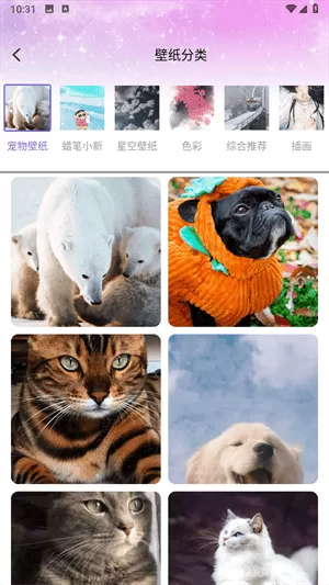 炫彩桌面壁纸
