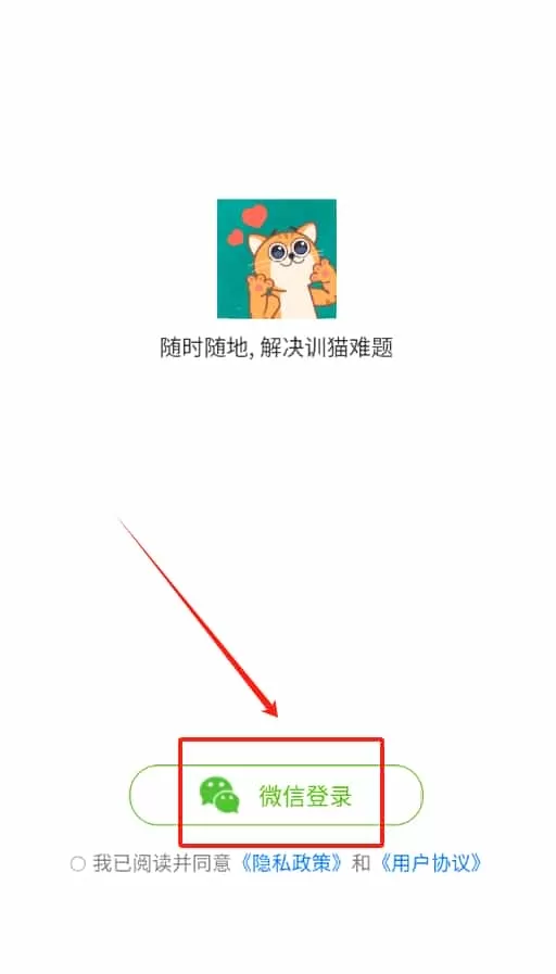 训猫养猫助手