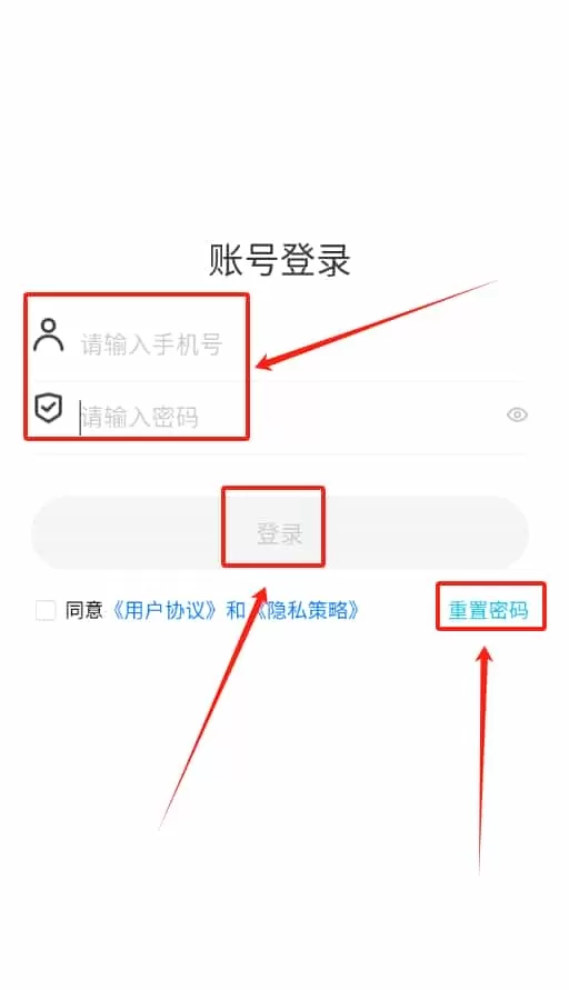 星诺下单