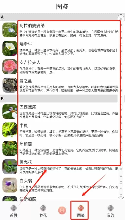 幸福花园君