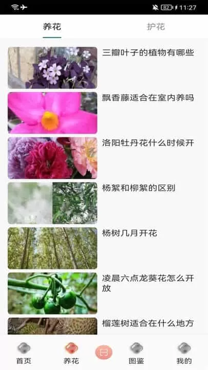 幸福花园君