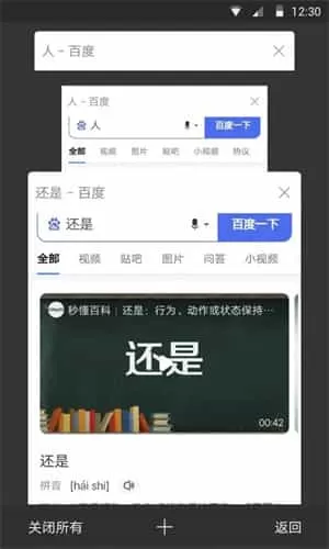 鹦鹉浏览器高级版