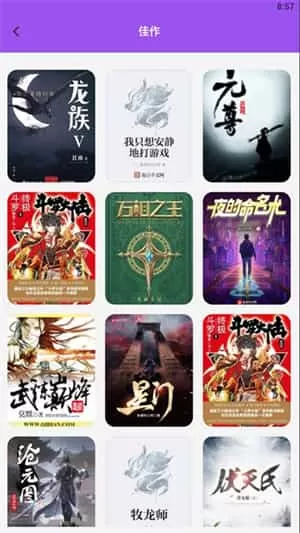 小小的追书