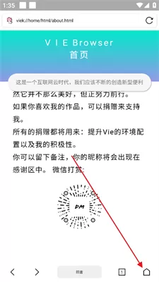 Vie浏览器