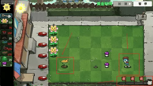 杂交植物勇战僵尸