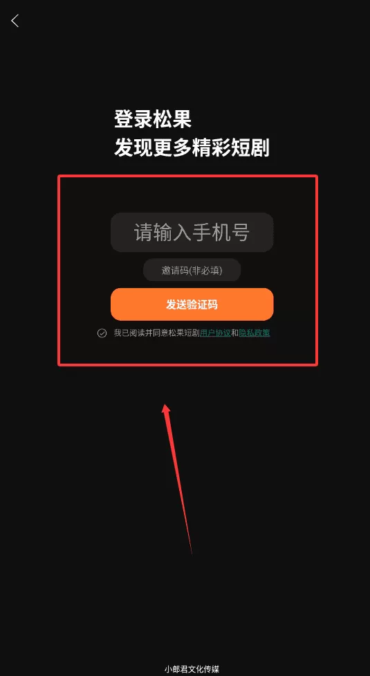 松果短剧