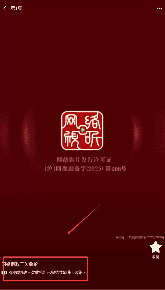 松果短剧