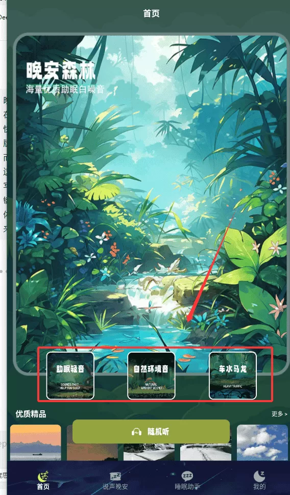 晚安森林播放器