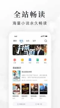 淘小说赚钱版
