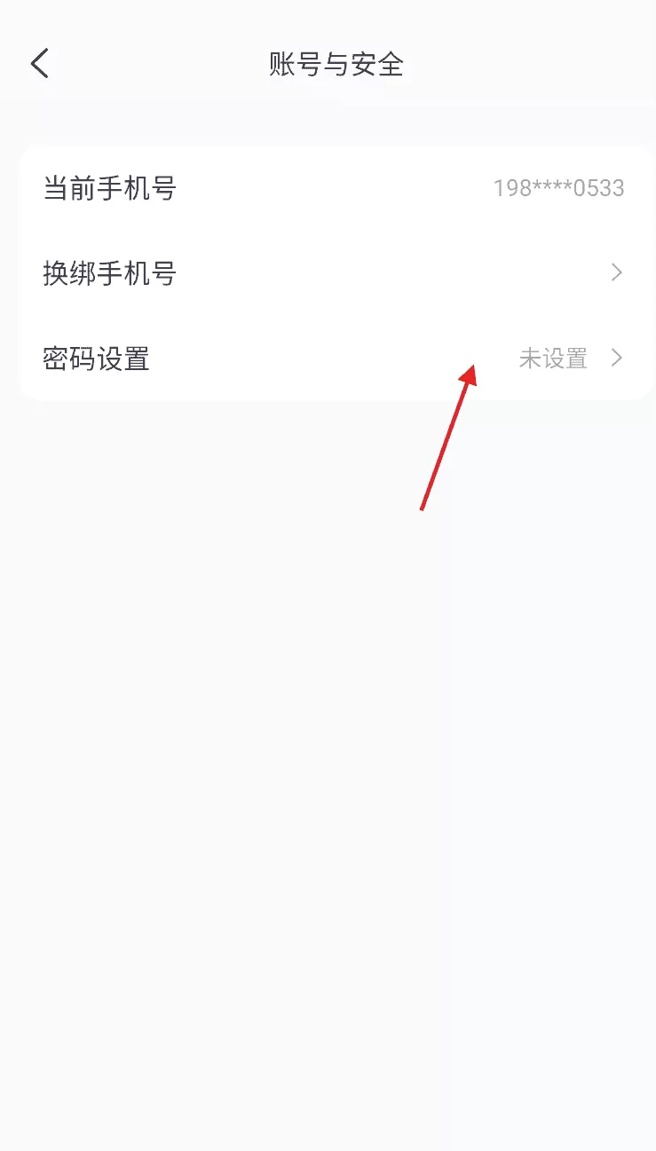 树懒