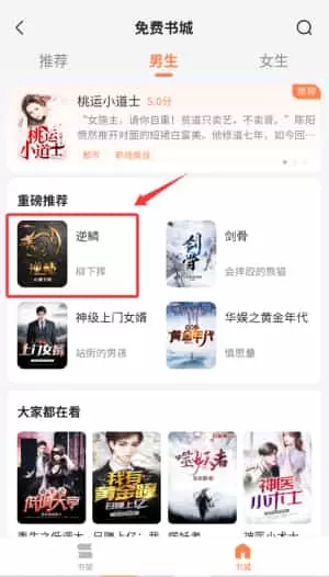 热料小说免费
