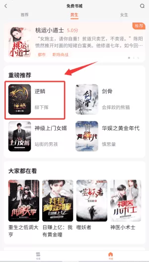 全网小说免费听书