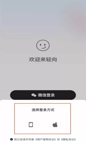 轻向