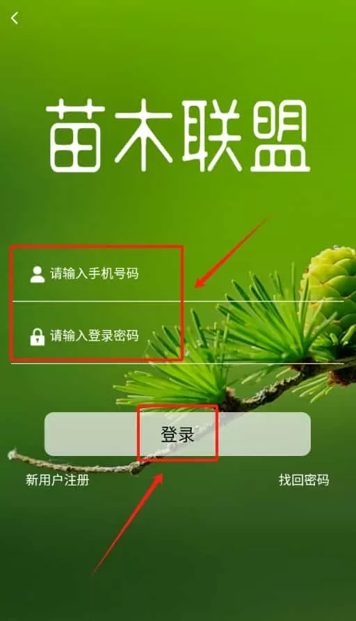苗木联盟