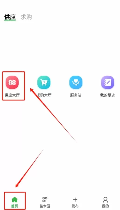 苗木联盟