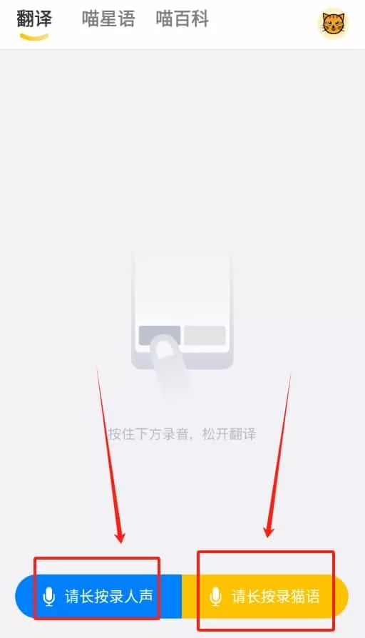 猫语翻译大全