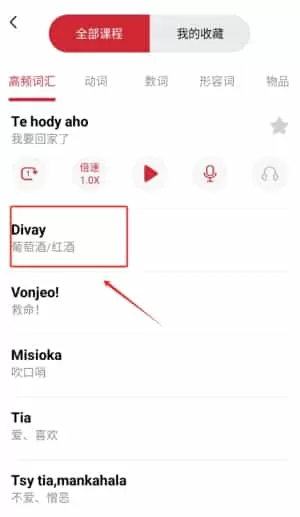 马达加斯加语学习软件