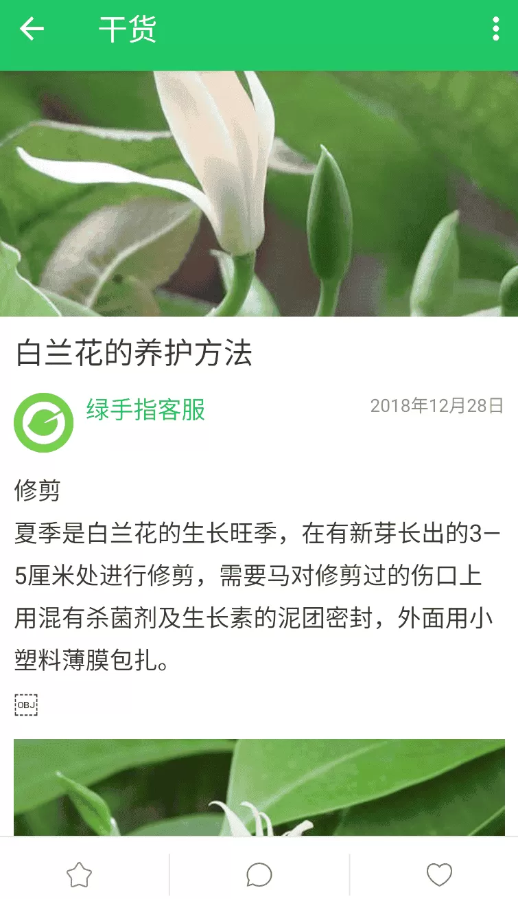绿手指
