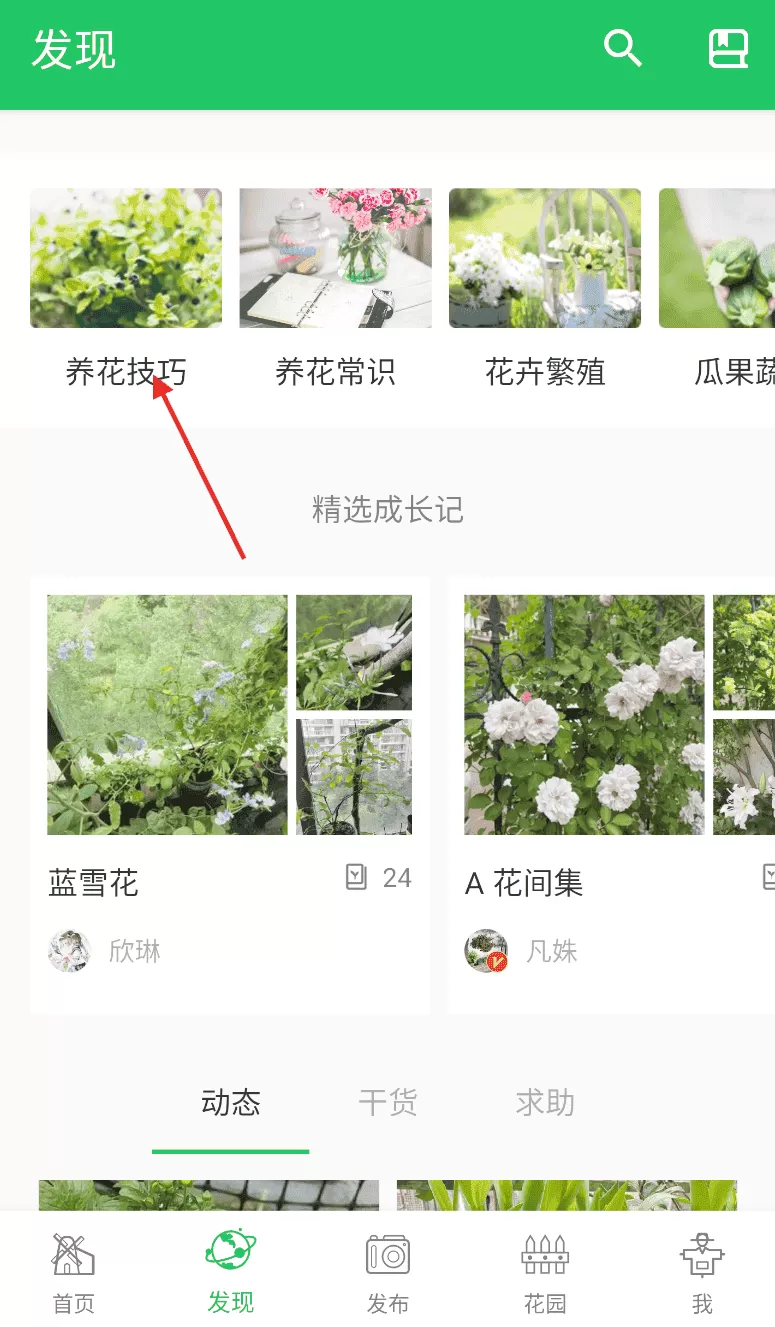 绿手指