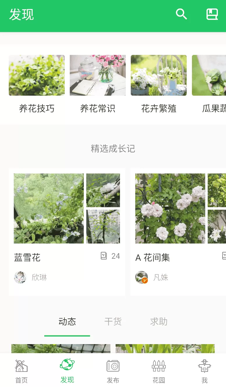绿手指