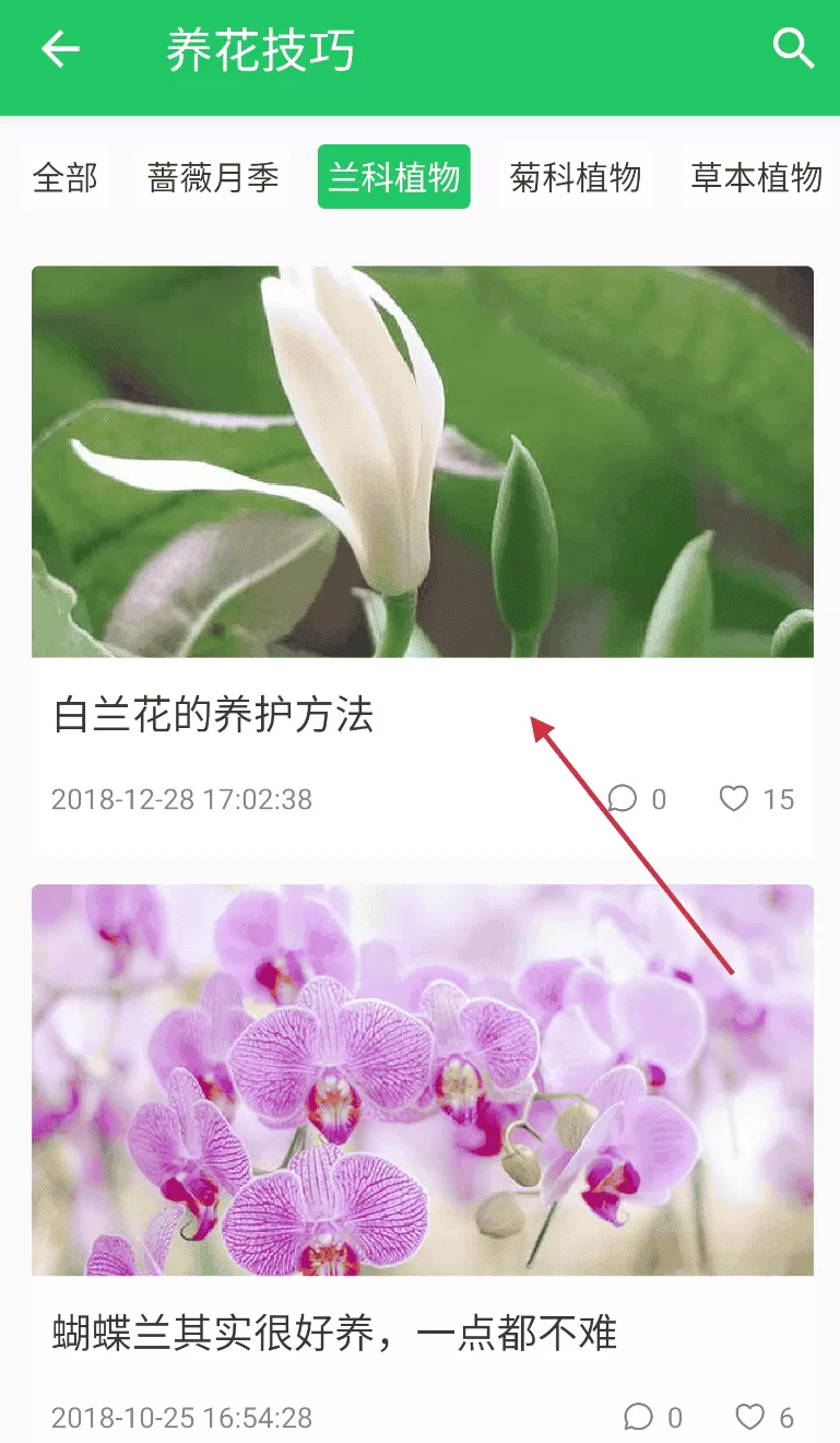 绿手指