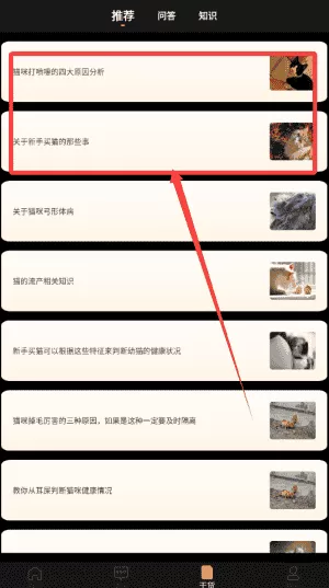猫旅馆
