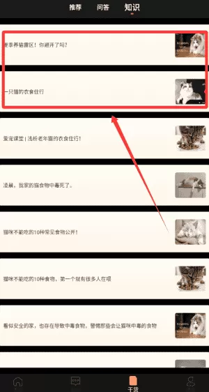 猫旅馆