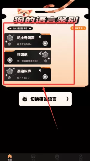 猫旅馆