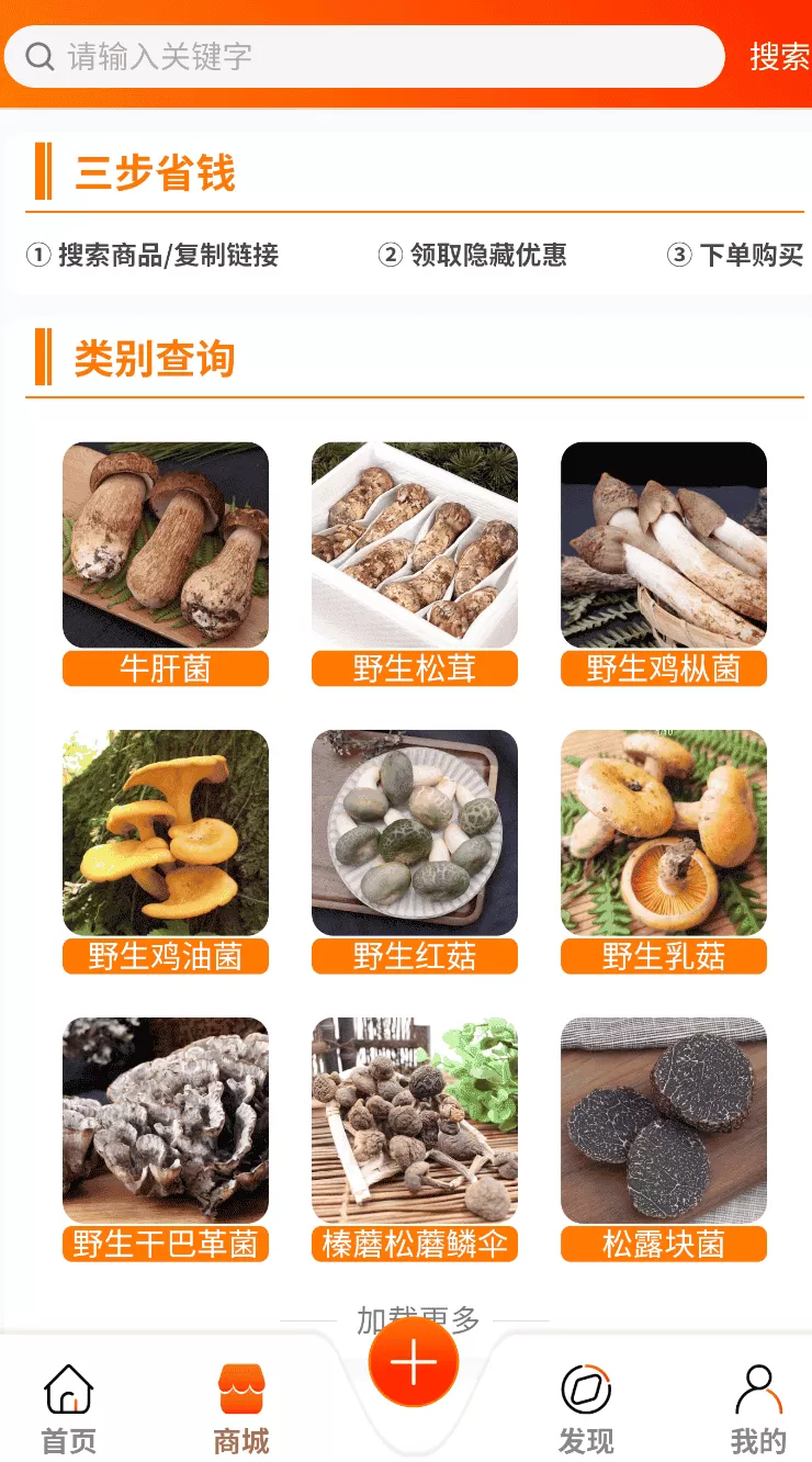 菌窝子