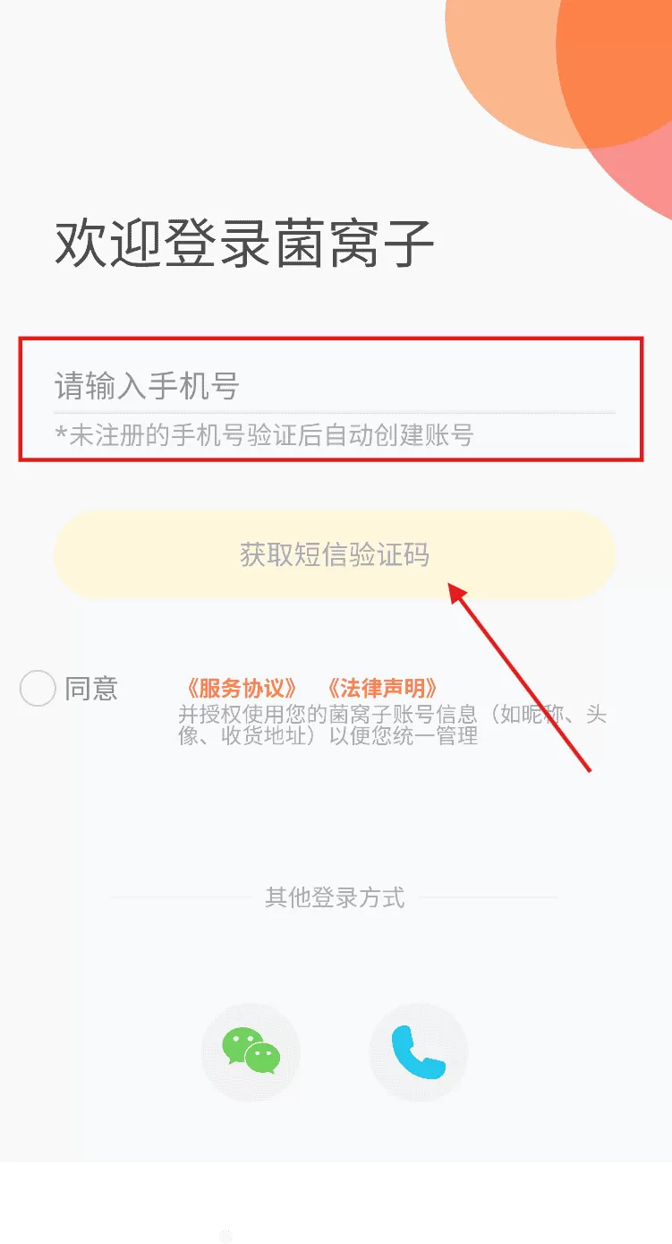 菌窝子