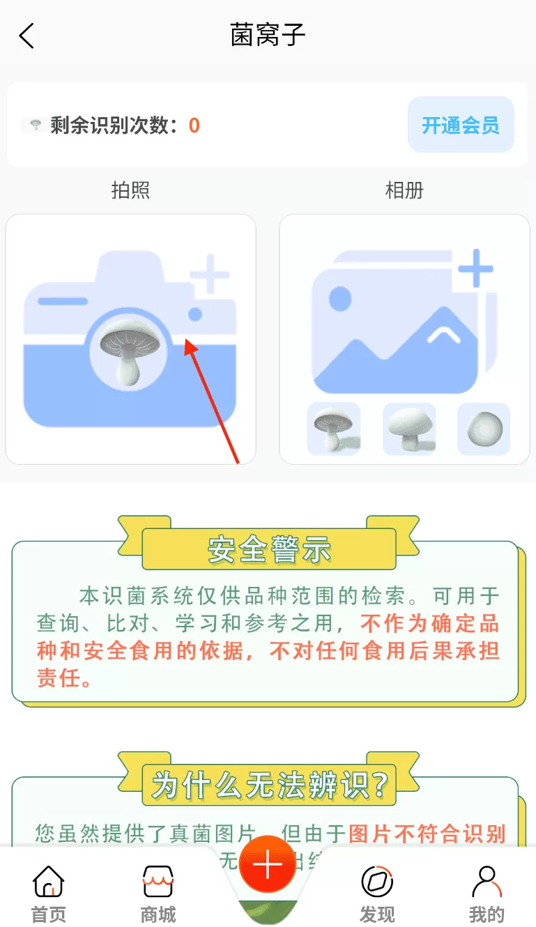 菌窝子