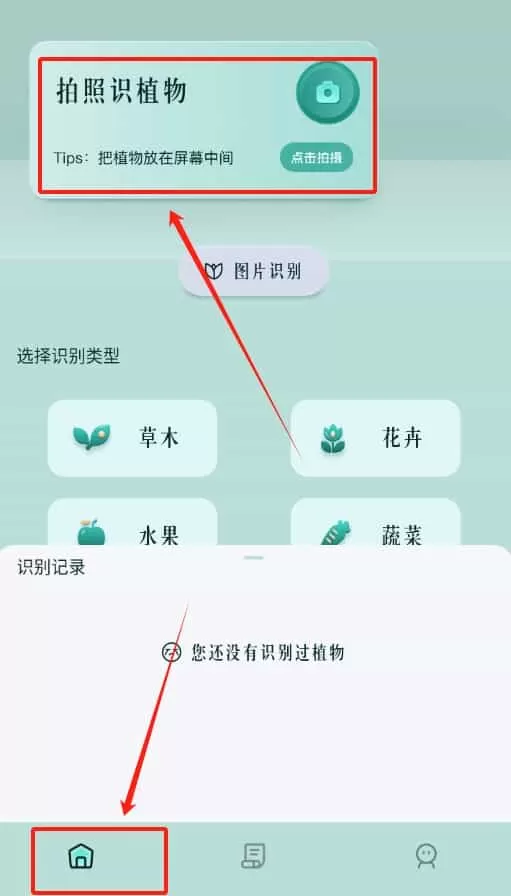 花之灵
