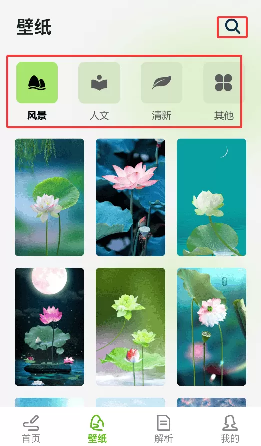 荷花app