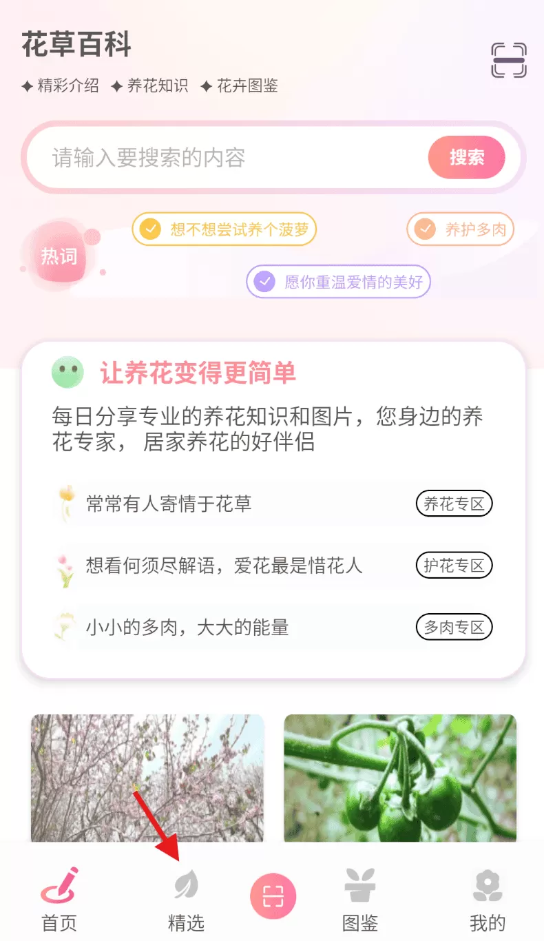 花社区